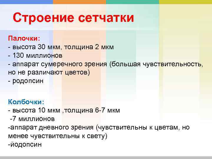 Строение сетчатки Палочки: - высота 30 мкм, толщина 2 мкм - 130 миллионов -
