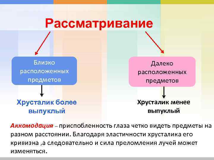Рассматривание Близко расположенных предметов Далеко расположенных предметов Хрусталик более выпуклый Хрусталик менее выпуклый Аккомодация