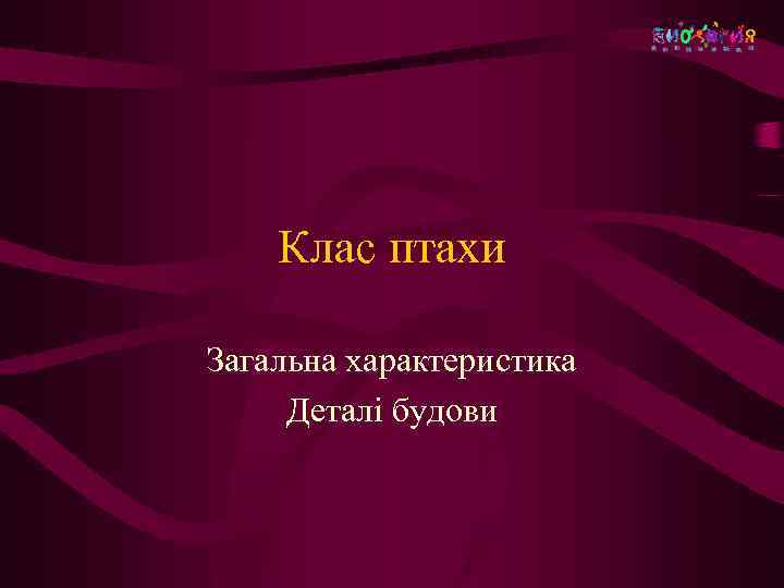 Клас птахи Загальна характеристика Деталі будови 