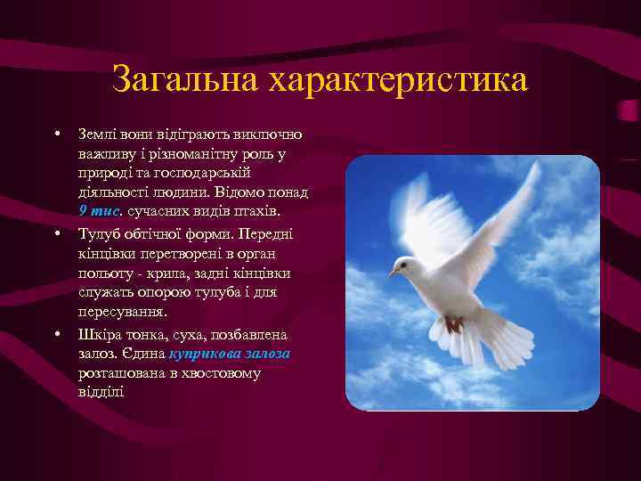 Загальна характеристика • • • Землі вони відіграють виключно важливу і різноманітну роль у