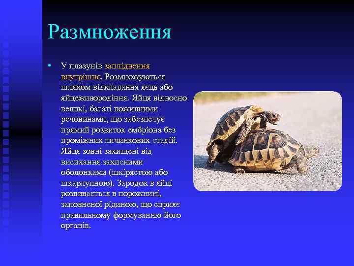 Размноження • У плазунів запліднення внутрішнє. Розмножуються шляхом відкладання яєць або яйцеживородіння. Яйця відносно