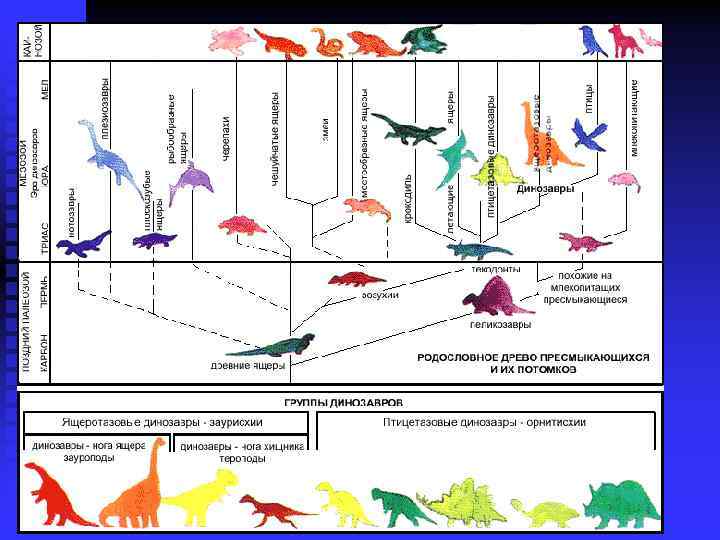 Эволюционные изменения птиц. Эволюционное Древо рептилий. Эволюция пресмыкающихся схема. Филогенетическое дерево рептилий. Филогенетическое Древо птиц.