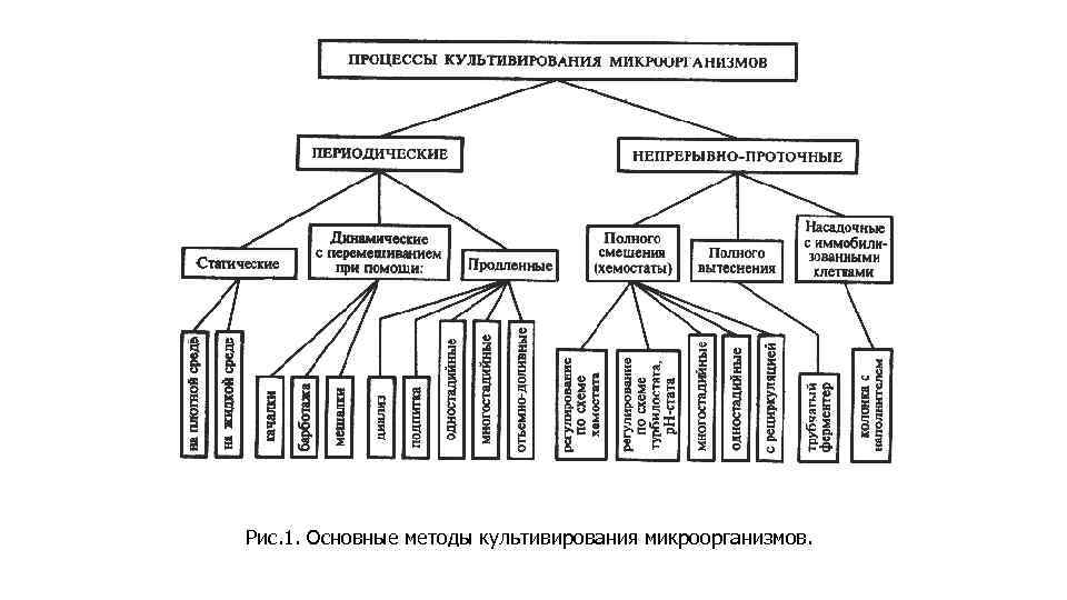 Рис. 1. Основные методы культивирования микроорганизмов. 