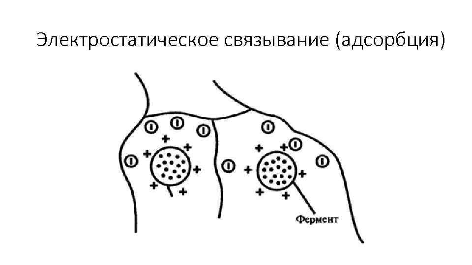 Электростатическое связывание (адсорбция) 