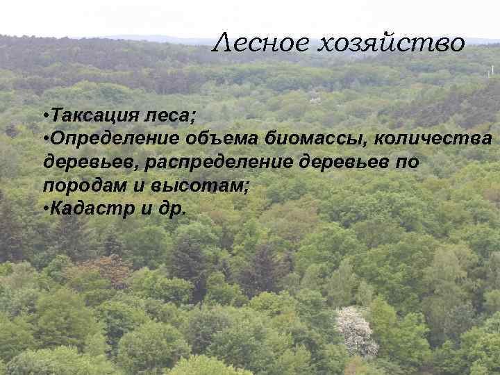 Лесное хозяйство • Таксация леса; • Определение объема биомассы, количества деревьев, распределение деревьев по