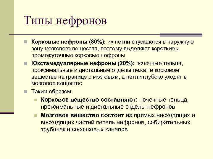 Типы нефронов n Корковые нефроны (80%): их петли спускаются в наружную зону мозгового вещества,