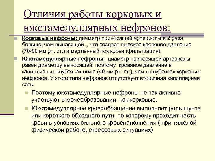 Отличия работы корковых и юкстамедуллярных нефронов: n Корковые нефроны: диаметр приносящей артериолы в 2