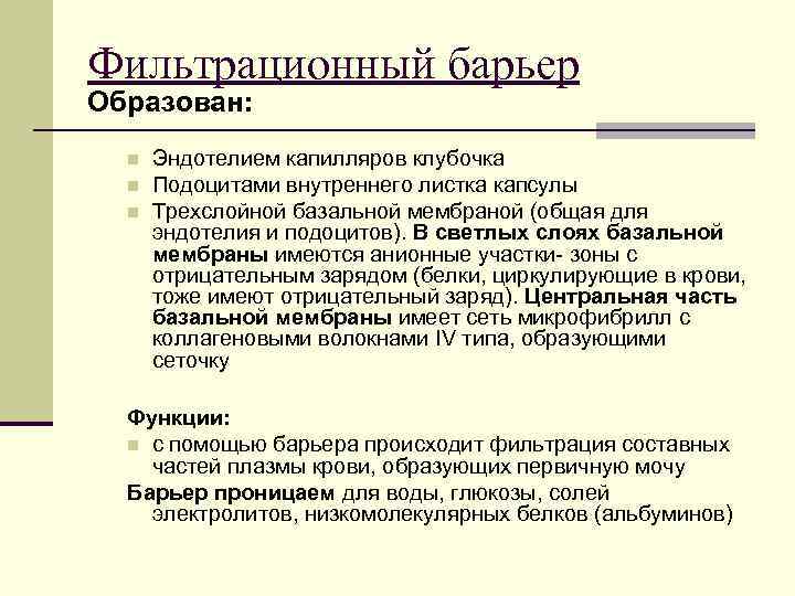 Фильтрационный барьер Образован: n n n Эндотелием капилляров клубочка Подоцитами внутреннего листка капсулы Трехслойной