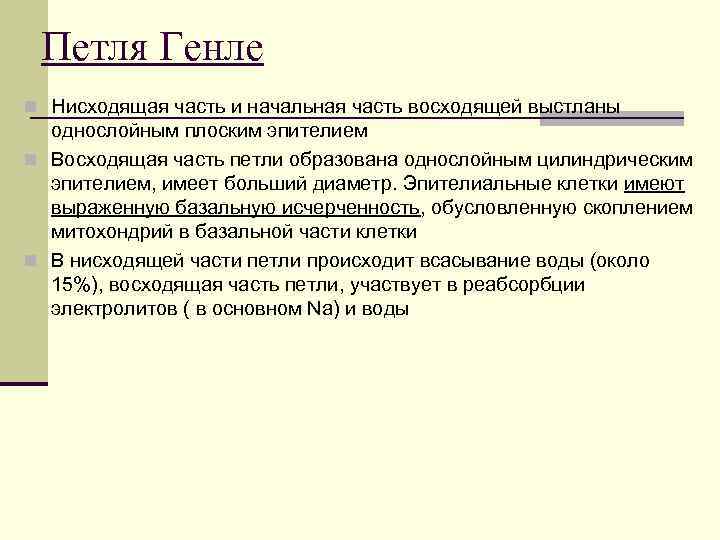 Петля Генле n Нисходящая часть и начальная часть восходящей выстланы однослойным плоским эпителием n