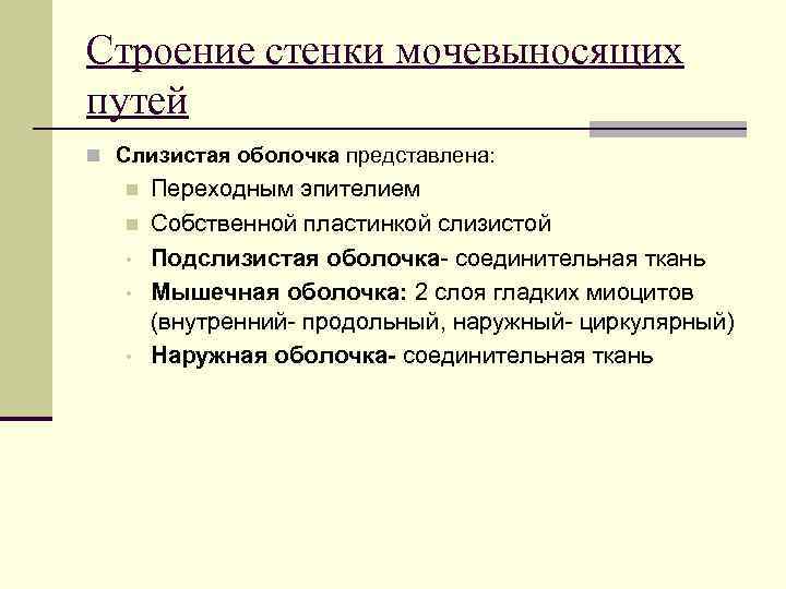 Строение стенки мочевыносящих путей n Слизистая оболочка представлена: n n • • • Переходным