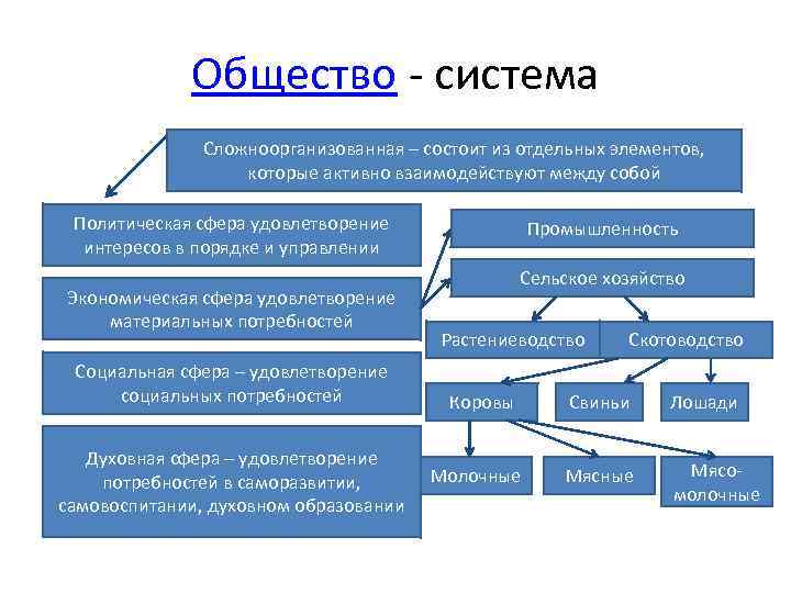 Общество - система Сложноорганизованная – состоит из отдельных элементов, которые активно взаимодействуют между собой