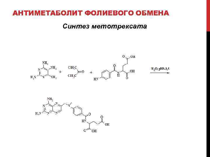 АНТИМЕТАБОЛИТ ФОЛИЕВОГО ОБМЕНА Синтез метотрексата 