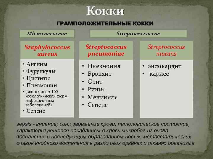 Кокки ГРАМПОЛОЖИТЕЛЬНЫЕ КОККИ Micrococcaceae Streptococcus pneumoniae Staphylococcus aureus • • Ангины Фурункулы Циститы Пневмонии