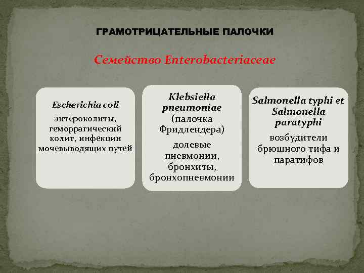 ГРАМОТРИЦАТЕЛЬНЫЕ ПАЛОЧКИ Семейство Enterobacteriaceae Escherichia coli энтероколиты, геморрагический колит, инфекции мочевыводящих путей Klebsiella pneumoniae