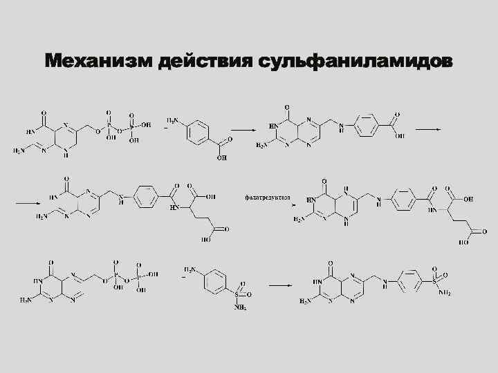 Механизм действия сульфаниламидов 