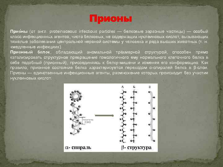 Прионы Прио ны (от англ. proteinaceous infectious particles — белковые заразные частицы) — особый