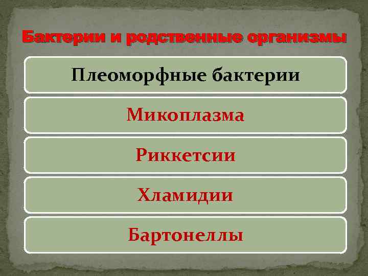 Бактерии и родственные организмы Плеоморфные бактерии Микоплазма Риккетсии Хламидии Бартонеллы 