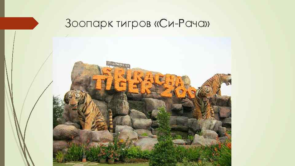 Зоопарк тигров «Си-Рача» 