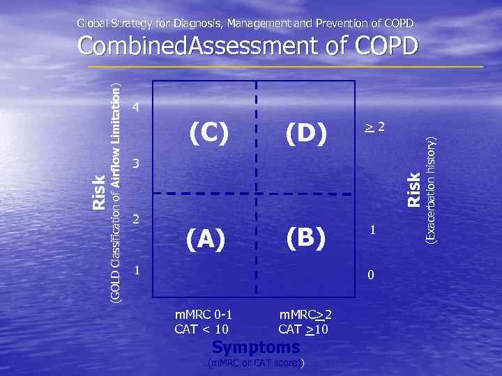 Global Strategy for Diagnosis, Management and Prevention of COPD 4 (D) (A) (B) 3