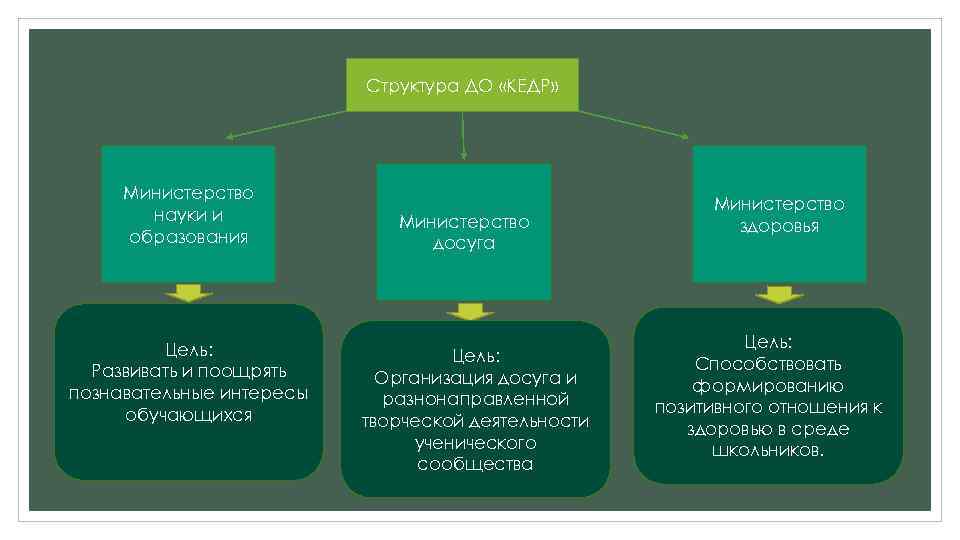 Структура ДО «КЕДР» Министерство науки и образования Цель: Развивать и поощрять познавательные интересы обучающихся