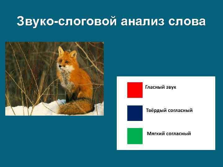 Звуко-слоговой анализ слова 