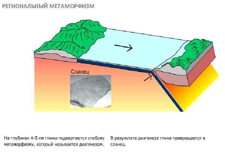 РЕГИОНАЛЬНЫЙ МЕТАМОРФИЗМ МЕТАОРФИЧЕСКИЕ ПОРОДЫ 