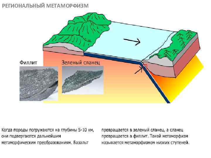 РЕГИОНАЛЬНЫЙ МЕТАМОРФИЗМ МЕТАОРФИЧЕСКИЕ ПОРОДЫ 