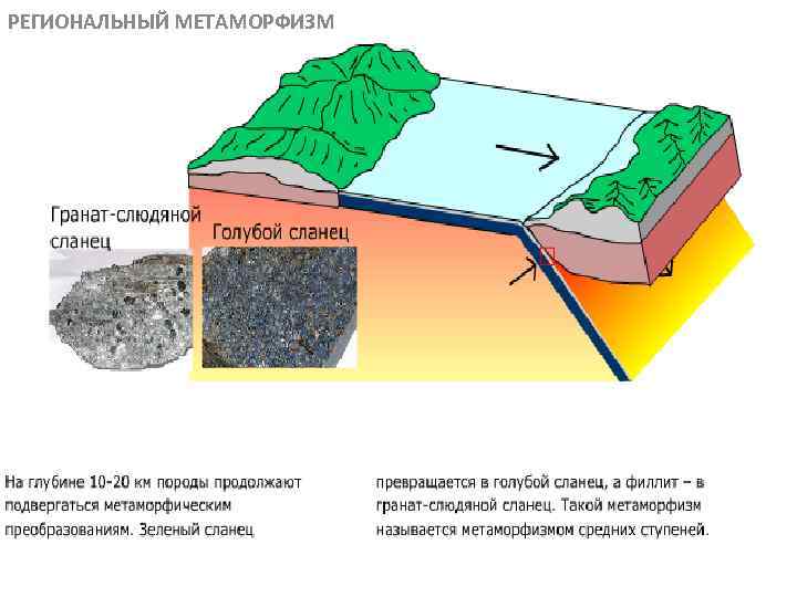 РЕГИОНАЛЬНЫЙ МЕТАМОРФИЗМ МЕТАОРФИЧЕСКИЕ ПОРОДЫ 