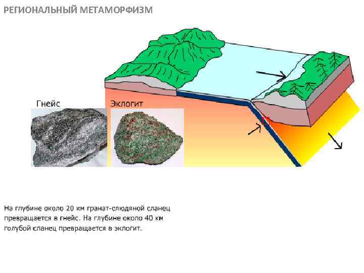 РЕГИОНАЛЬНЫЙ МЕТАМОРФИЗМ МЕТАОРФИЧЕСКИЕ ПОРОДЫ 