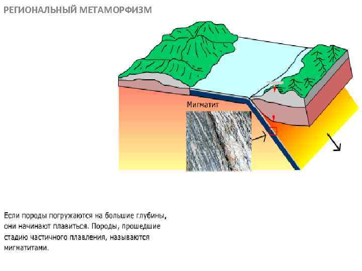 РЕГИОНАЛЬНЫЙ МЕТАМОРФИЗМ МЕТАОРФИЧЕСКИЕ ПОРОДЫ 