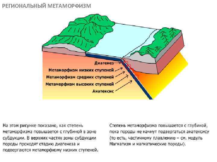 РЕГИОНАЛЬНЫЙ МЕТАМОРФИЗМ МЕТАОРФИЧЕСКИЕ ПОРОДЫ 