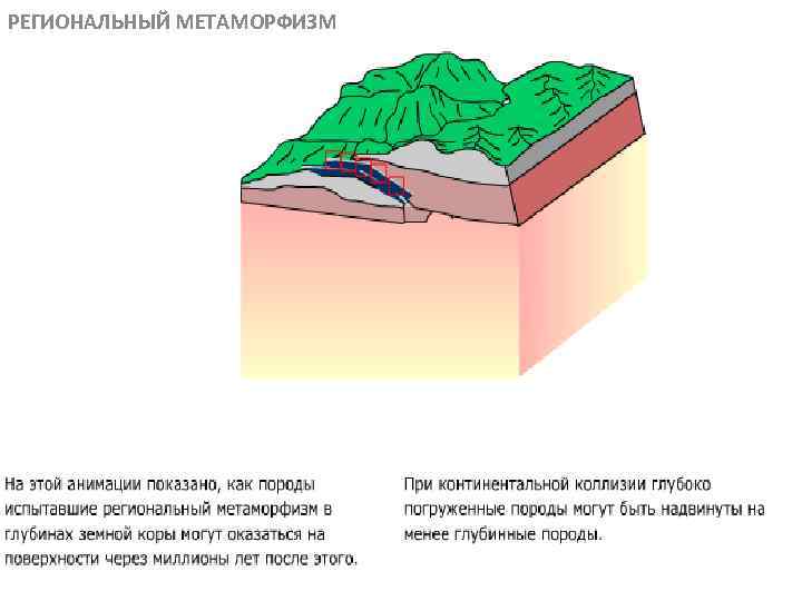 РЕГИОНАЛЬНЫЙ МЕТАМОРФИЗМ МЕТАОРФИЧЕСКИЕ ПОРОДЫ 