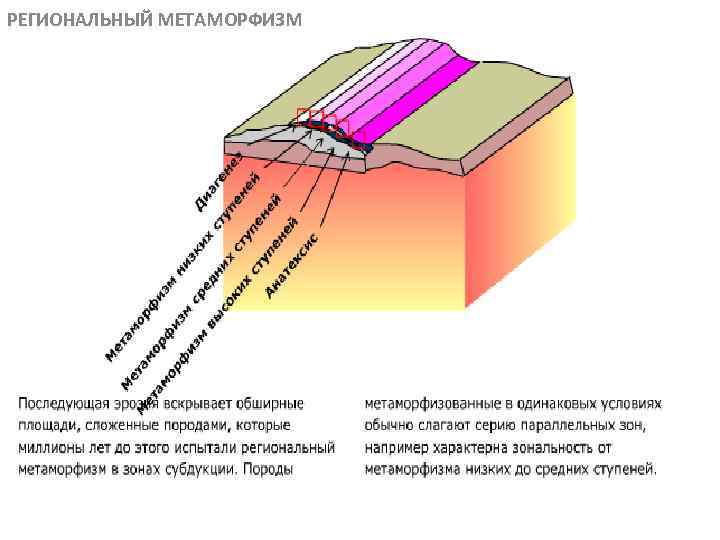 РЕГИОНАЛЬНЫЙ МЕТАМОРФИЗМ МЕТАОРФИЧЕСКИЕ ПОРОДЫ 