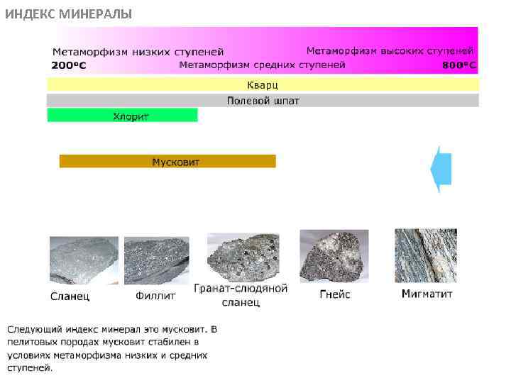 ИНДЕКС МИНЕРАЛЫ МЕТАОРФИЧЕСКИЕ ПОРОДЫ 