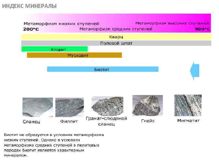 ИНДЕКС МИНЕРАЛЫ МЕТАОРФИЧЕСКИЕ ПОРОДЫ 