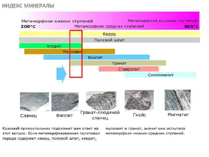 ИНДЕКС МИНЕРАЛЫ МЕТАОРФИЧЕСКИЕ ПОРОДЫ 