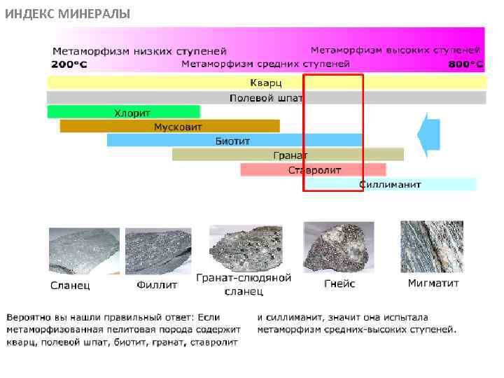 ИНДЕКС МИНЕРАЛЫ МЕТАОРФИЧЕСКИЕ ПОРОДЫ 