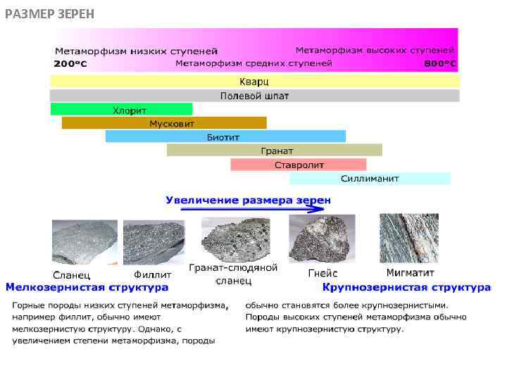 РАЗМЕР ЗЕРЕН МЕТАОРФИЧЕСКИЕ ПОРОДЫ 