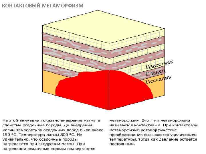 КОНТАКТОВЫЙ МЕТАМОРФИЗМ МЕТАОРФИЧЕСКИЕ ПОРОДЫ 