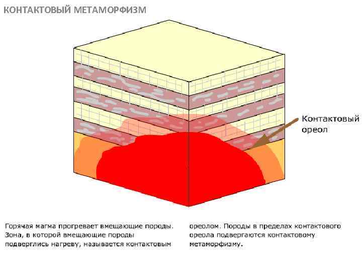 КОНТАКТОВЫЙ МЕТАМОРФИЗМ МЕТАОРФИЧЕСКИЕ ПОРОДЫ 