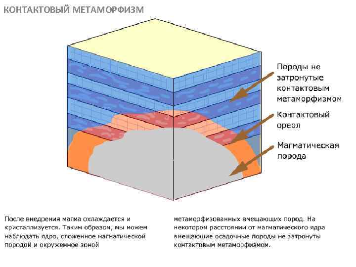 КОНТАКТОВЫЙ МЕТАМОРФИЗМ МЕТАОРФИЧЕСКИЕ ПОРОДЫ 