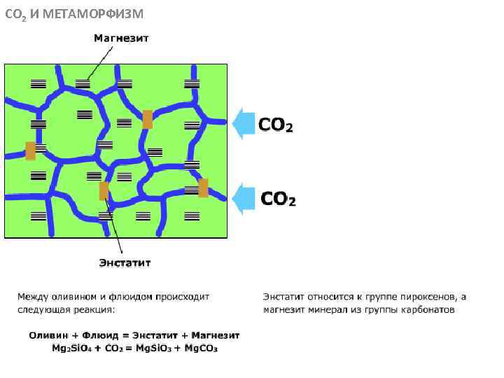 CO 2 И МЕТАМОРФИЗМ МЕТАОРФИЧЕСКИЕ ПОРОДЫ 