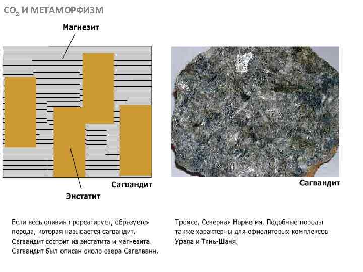 CO 2 И МЕТАМОРФИЗМ МЕТАОРФИЧЕСКИЕ ПОРОДЫ 