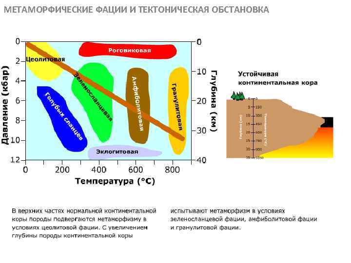 МЕТАМОРФИЧЕСКИЕ ФАЦИИ И ТЕКТОНИЧЕСКАЯ ОБСТАНОВКА МЕТАОРФИЧЕСКИЕ ПОРОДЫ 