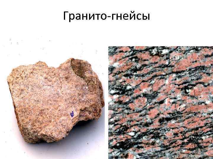 Гранито-гнейсы 