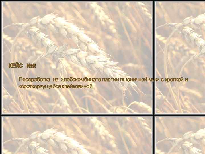 КЕЙС № 5 Переработка на хлебокомбинате партии пшеничной муки с крепкой и короткорвущейся клейковиной.