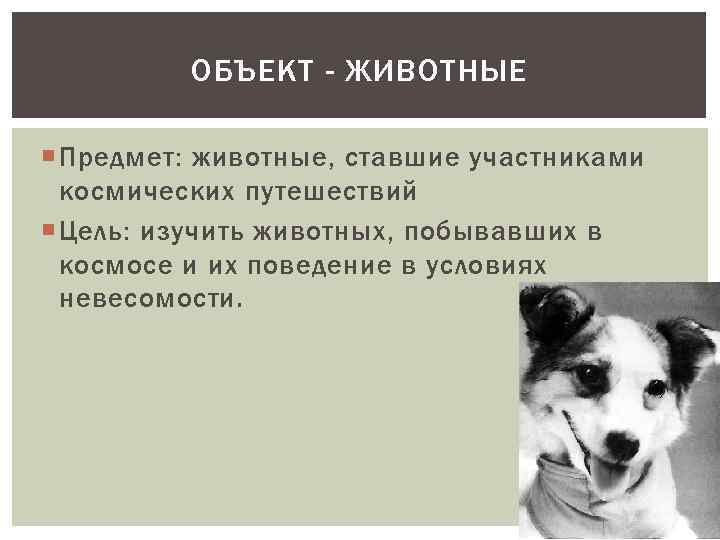 ОБЪЕКТ - ЖИВОТНЫЕ Предмет: животные, ставшие участниками космических путешествий Цель: изучить животных, побывавших в