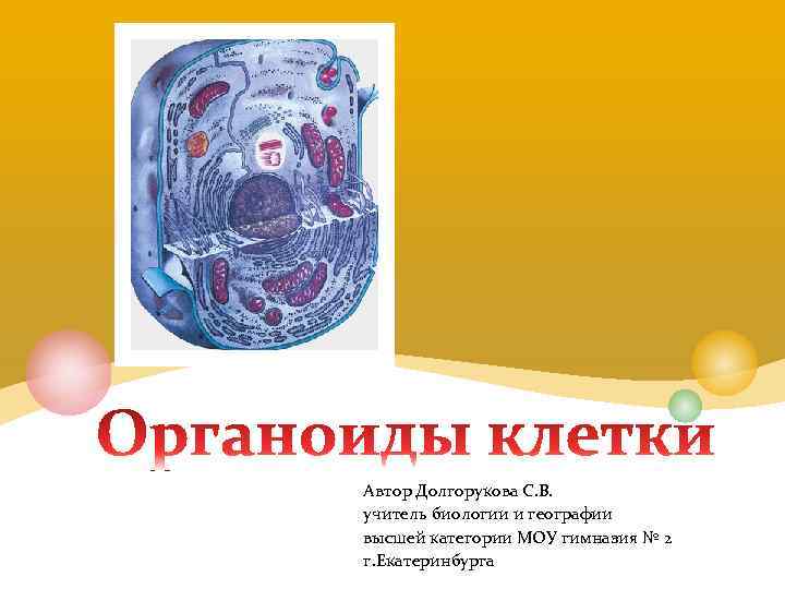 Автор Долгорукова С. В. учитель биологии и географии высшей категории МОУ гимназия № 2