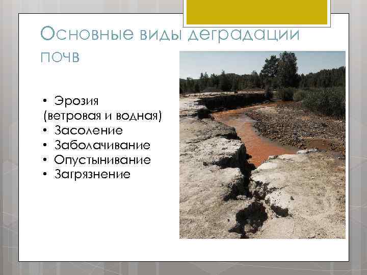 Основные виды деградации почв • Эрозия (ветровая и водная) • Засоление • Заболачивание •