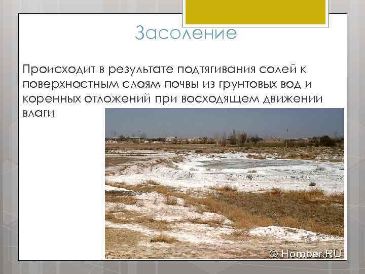 Засоление Происходит в результате подтягивания солей к поверхностным слоям почвы из грунтовых вод и